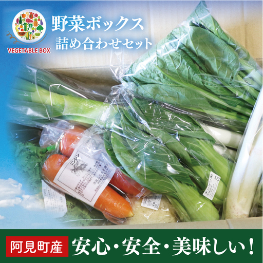 04-05 阿見町産野菜ボックス詰め合わせセット（7～8品）【新鮮 美味しい EM菌 減農薬 有機肥料 阿見町 茨城県】