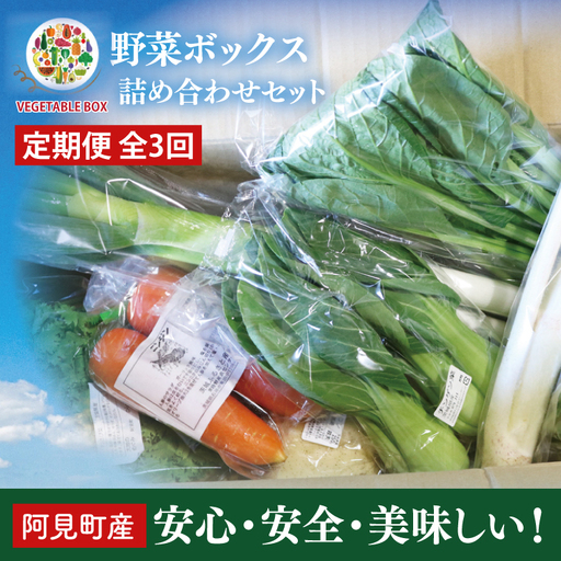 04-06【3ヶ月定期便】阿見町産野菜ボックス詰め合わせセット（7～8品）【新鮮 美味しい EM菌 減農薬 有機肥料 阿見町 茨城県】