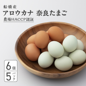 生で食べて美味しい　アロウカナ　奈良たまご　30個セット　6個×5パック　幸せの青いたまご　奈良養鶏園　農場HACCP認証　船橋産　希少　卵　玉子　鶏卵　たまごかけご飯　TKG
