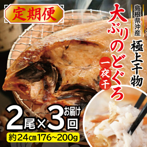[定期便]島根県沖!大ぶり「のどぐろ一夜干」定期便(3回お届け)[大ぶり のどぐろ一夜干 2尾×3回 国産 島根県産 大田市 高級魚 ノドグロ アカムツ 白身魚 トロ 無添加 冷凍 真空 特産品 お取り寄せ]