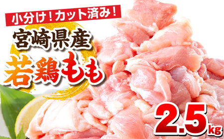 宮崎県産若鶏 もも肉 2.5kg（250g×10パック） 小分け 真空パック もも肉 むね肉 鶏もも肉 鶏むね肉 精肉 セット 詰め合わせ 定期便 肉 お肉 鶏肉 若鶏 宮崎県産 国産 パック ストック 人気