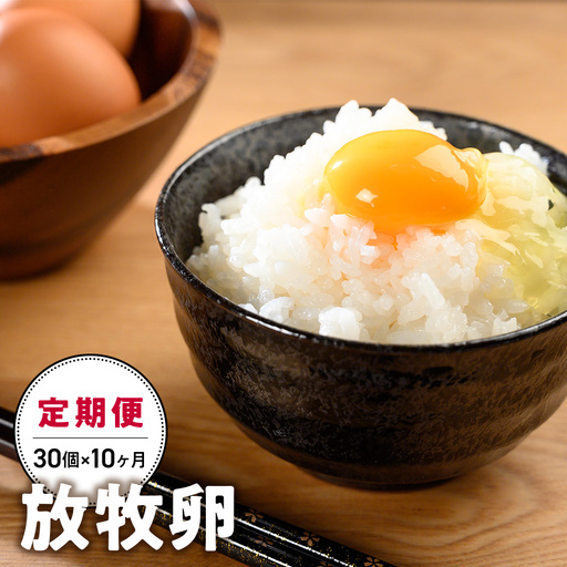【10ヵ月定期便】放牧卵30個×10ヶ月 卵定期便 山梨県 甲斐市 B-20