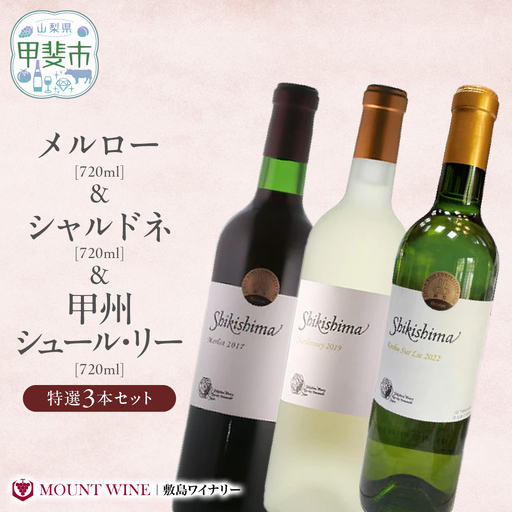 特選3本セット【メルロー & シャルドネ & 甲州シュール・リー】 720ml×3本 敷島醸造 ワイン 赤ワイン 白ワイン わいん シャルドネ ワインセット 辛口 日本ワイン 国産ワイン ギフト お祝い 飲み比べ 山梨 甲斐市 F-20
