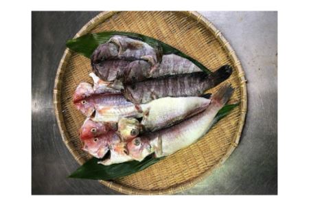 絶品深海魚セット・T019-13
