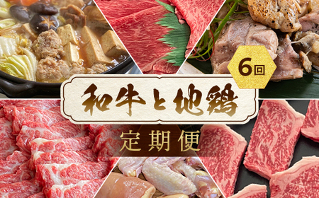 [6回定期便]鶏肉 和牛と地鶏 訳あり鶏肉