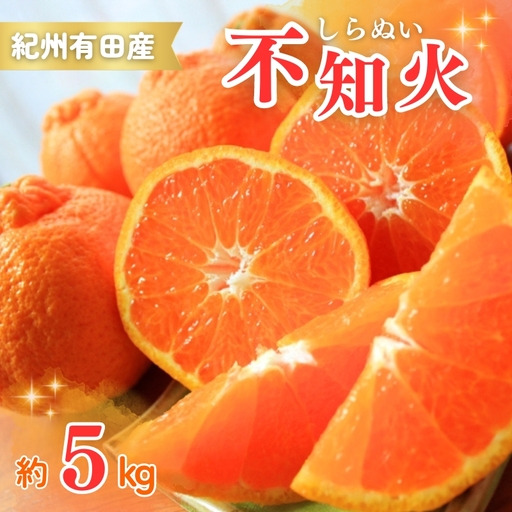 紀州有田産不知火(しらぬひ) 約5kg 2027年2月下旬頃〜3月中旬頃順次発送](お届け日指定不可)[uot709A]