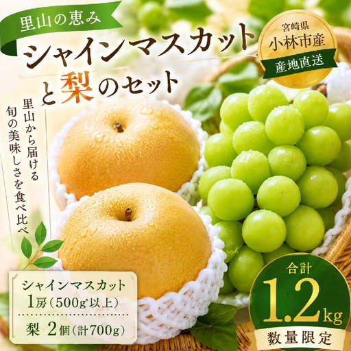 ぶどう シャインマスカットと梨のセット計1.7kg ナシ ブドウ