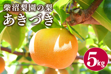 あきづき 梨 5kg 柴沼梨園 BX-003