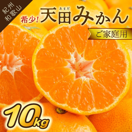 希少！天田みかん（紀州和歌山）ご家庭用10kg【0617-4】