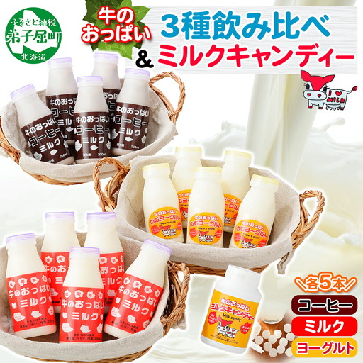 牛のおっぱいミルク 5本 コーヒーミルク5本 のむヨーグルト5本 計15本 おっぱいミルクキャンディー1個 セット 牛乳 生乳 ミルク 牛 酪農 飲料 しぼりたて 珈琲 ヨーグルト 飴 お取り寄せ ギフト gift 渡辺体験牧場 まとめ買い 北海道 弟子屈町 784
