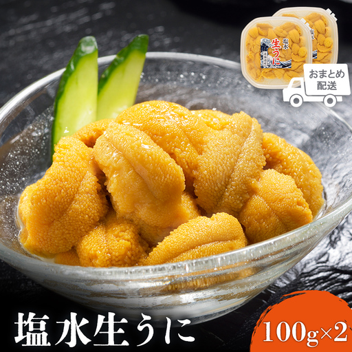 北海道産 塩水ウニ 200g  (100g×2パック） 【6月上旬から8月中旬発送予定】【0211802】