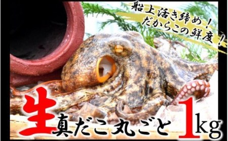 船上活き締め！生たこ丸ごと約1kg（約1～4杯）_1810R