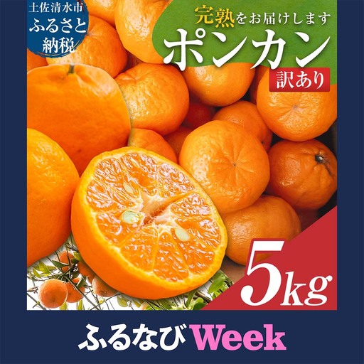 [ふるなびWEEK対象]ぽんかん 5kg ポンカン 令和9年1月下旬以降発送 訳あり 柑橘[ぽんかん][R01080]