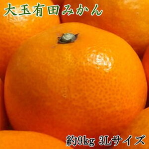 [2026年先行予約][食べごたえ十分・秀品] 和歌山 有田みかん 大玉 9kg (3Lサイズ)_ZD6321n