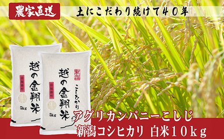 J8-7N101F【越の金翔米】新潟県長岡産コシヒカリ10kg（特別栽培米）