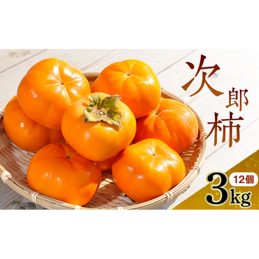 [2026年11月中旬より順次発送]幻の 次郎柿 2L 3kg 12個 贈答用 大玉 11月中旬より順次発送 柿 かき 果物 くだもの フルーツ 旬の果物 旬のフルーツ 秋の味覚 静岡県 浜松市