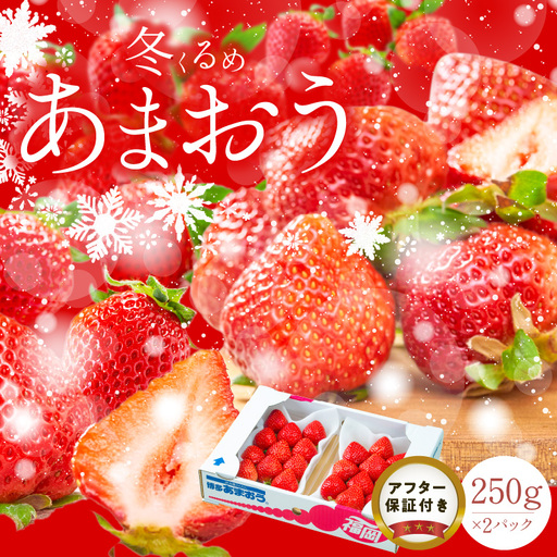 [2026年12月以降お届け]福岡産[冬]あまおう2パック_冬くるめ あまおう 250g × 2パック 合計 500g 冷蔵 濃厚 甘い 大粒 果汁 アフター保証 安心安全 国産 いちご 果物 アレンジ おやつ フルーツ スイーツ スムージー ジャム 南国フルーツ お取り寄せ 福岡県 久留米市 送料無料 福岡限定 〔Fi010〕
