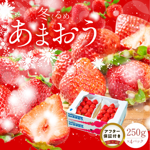 [2026年12月以降お届け]福岡産[冬]あまおう4パック_冬くるめ あまおう 250g × 4パック 合計 1kg 冷蔵 苺本来の味 濃厚 甘い 果汁 アフター保証 安心安全 国産 いちご 果物 アレンジ おやつ お菓子 タルト クッキー フルーツ スイーツ スムージー ジャム 南国フルーツ お取り寄せ 福岡県 久留米市 送料無料 〔Fi011〕