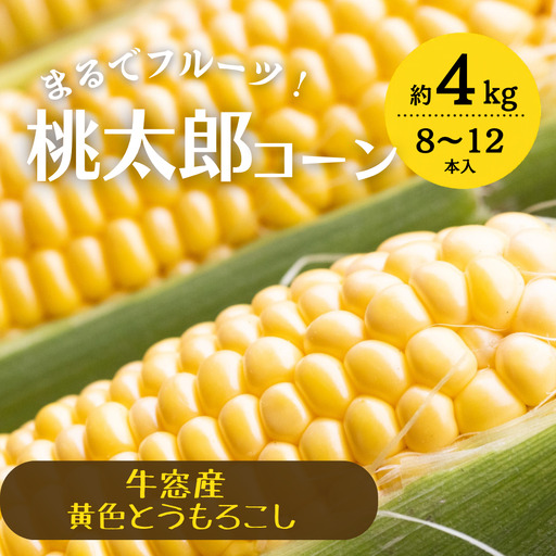 とうもろこし 桃太郎コーン 約4kg 8〜12本入り とうもろこし 牛窓産