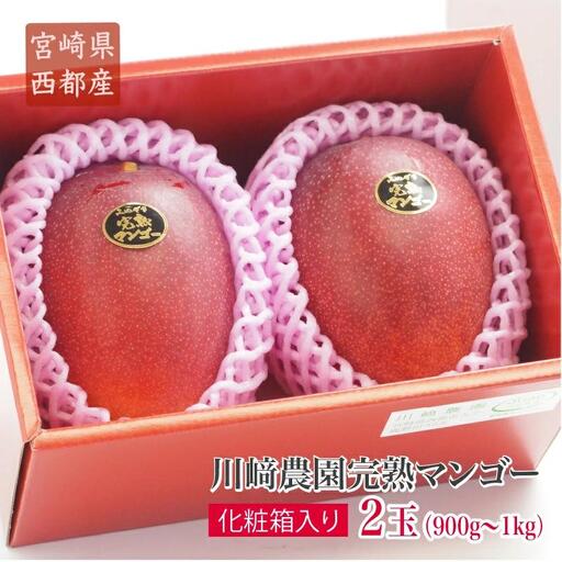 【先行予約】『川崎農園』完熟マンゴー 西都市 産生産者直送 2026年発送＜11-1a＞