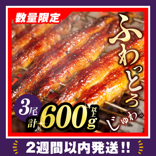【2週間以内発送】うなぎ蒲焼3尾(さんしょう・たれ付き)計600g以上 鰻 魚 魚介 加工品 国産_T026-0146-2W