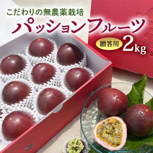 【 先行予約 2027年 発送 】こだわりの無農薬栽培パッションフルーツ2kg ＜贈答用＞ 果物 フルーツ くだもの 2キロ 沖縄 果実 南国フルーツ 沖縄県産 美味しい 甘い あまい 甘み 酸味 爽やか 産地直送 農家直送 産直 ギフト 贈答品 沖縄県 糸満市 8-4
