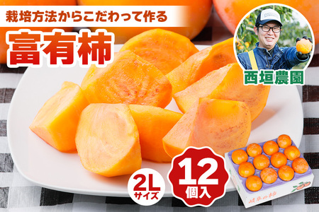 [令和8年産] 柿 富有柿 2Lサイズ (12個入) [mt018] 西垣農園 柿 柿の王様
