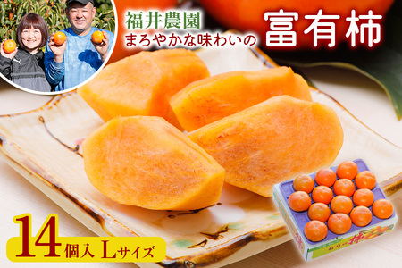 令和8年産 柿 富有柿 Lサイズ (14個入) 福井農園 柿
