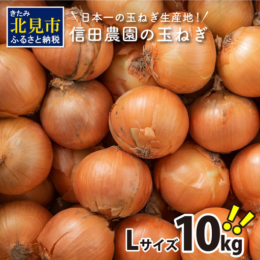 【予約：2026年10月中旬から順次発送】日本一の玉ねぎ生産地！信田農園の玉ねぎ 10kg Lサイズ ( 信田農園 野菜 玉ねぎ 玉葱 たまねぎ タマネギ 10キロ 北見のたまねぎ オニオン 野菜 甘い ふるさと納税 )【124-0006-2026】