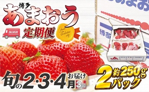 [2027年2〜4月発送]博多あまおう2パック3回定期便 約500g×3回[H5352]