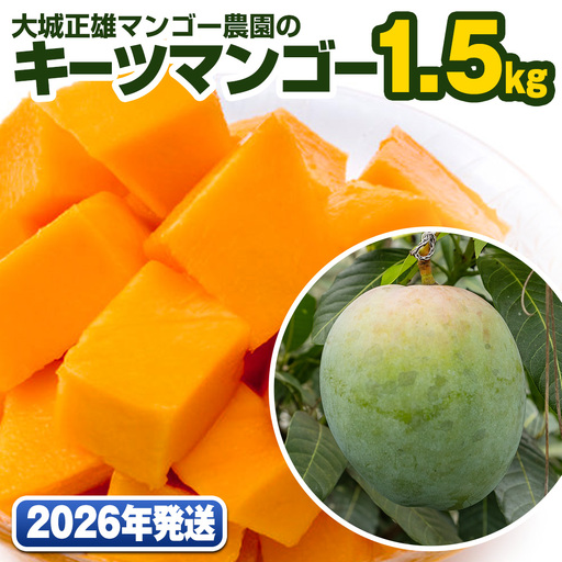 【2026年発送】大城正雄マンゴー農園のキーツマンゴー1.5kg