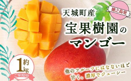 【2027年発送】【先行受付】徳之島 天城町産 宝果樹園 完熟マンゴー ご家庭用 マンゴー 1kg AT-21-N
