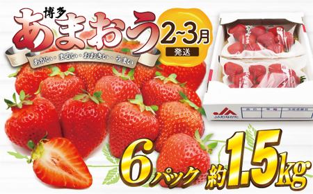 【2027年2月より順次発送】博多あまおう特別6パック 約1.5kg[H2245]