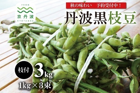 [先行予約]丹波黒枝豆 枝付き 3kg 京都 京丹波町産 [ 枝豆 おつまみ ][010KK008L]