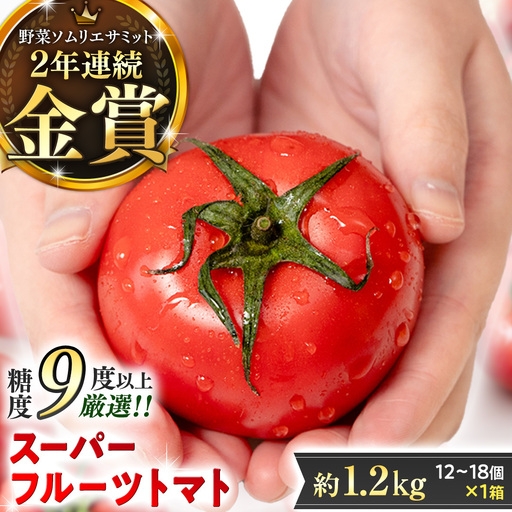 《 2027年 収穫分 》2～6月配送 スーパーフルーツトマト 中箱 約1.2kg × 1箱 (12～18玉/1箱) 糖度9度以上 先行予約 茨城県 桜川市 KEK 国産 トマト フルーツトマト ブランドトマト 野菜 ギフト 贈答 青空レストラン アド街ック天国 グッドモーニング 黄金のワンスプーン 昼めし旅 [BC002sa]