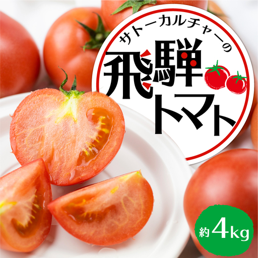 飛騨トマト 約4kg / トマト 野菜