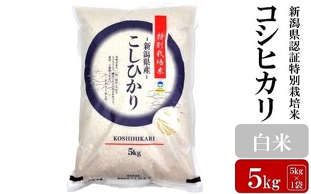 [令和7年産米]コシヒカリ 白米 5kg 新潟県認証特別栽培米 お米 新潟県産 アグリーホンマ[Y0362]