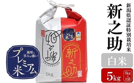 [令和7年産米]甘味の強いプレミアム米 新潟県認証特別栽培米 新之助 白米 5kg アグリーホンマ[Y0358]