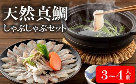 ぷりぷり食感!天然真鯛しゃぶしゃぶセット 3〜4人前 カット済 鯛アラ付き[ZB293]