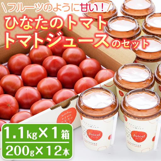[先行予約受付中!2027年1〜5月の間に発送予定]ひなたのとまと(計1.1kg)とトマトジュース(200g×12本)セットトマト フルーツトマト 糖度 9度 以上 野菜 旬野菜 冷蔵 国産 宮崎県産[A-6][新門トマト農園]