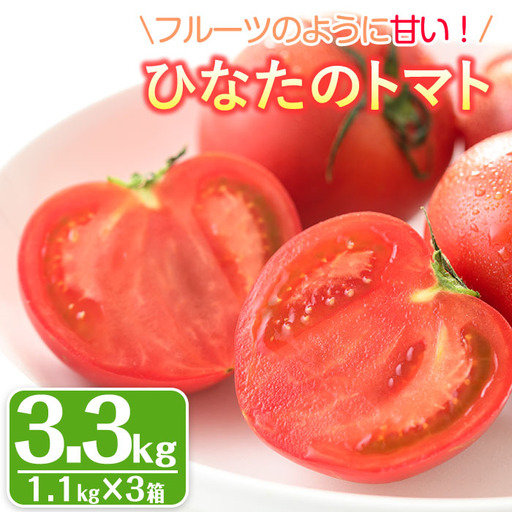 [先行予約受付中!2027年1〜5月の間に発送予定]ひなたのとまと(計3.3kg・1.1kg×3箱)トマト フルーツトマト 糖度 9度 以上 野菜 旬野菜 冷蔵 門川町産[A-5][新門トマト農園]