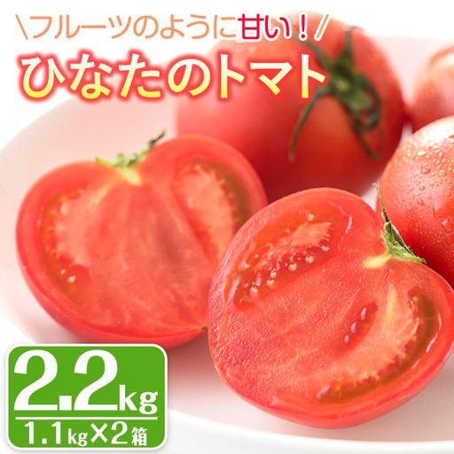 [先行予約受付中!2027年1〜5月の間に発送予定]ひなたのとまと(計2.2kg・1.1kg×2箱)フルーツトマト 冷蔵 門川町産 [A-3][株式会社 新門トマト農園]