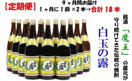 【定期便：魔王の姉妹焼酎】＜白玉の露＞ 1升瓶×２本 9ヶ月定期配送 TK-002-2