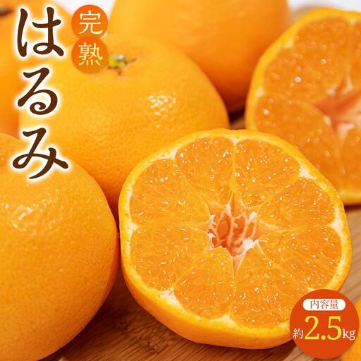 完熟 はるみ 約2.5kg【2027-2月下旬～2027-3月下旬配送】