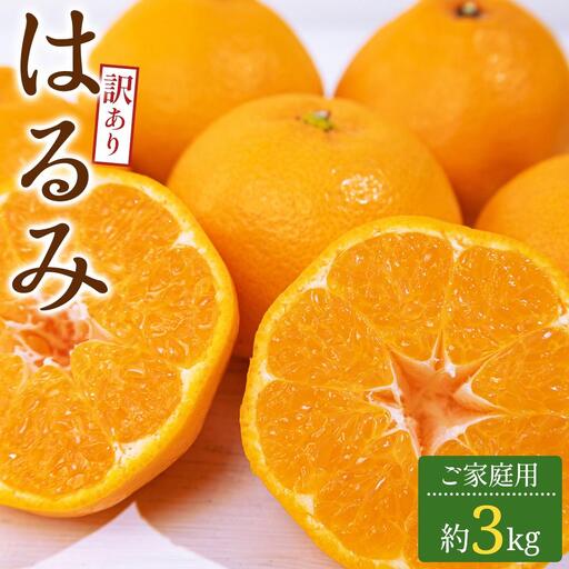 訳あり ご家庭用 はるみ 約3kg【2027-2月上旬～2027-3月下旬配送】
