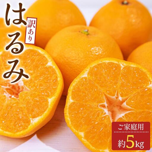 訳あり ご家庭用 はるみ 約5kg【2027-2月上旬～2027-3月下旬配送】