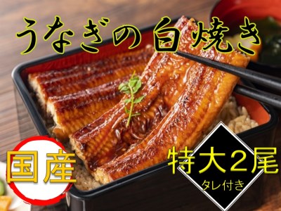 国産うなぎ白焼き2尾セット（たれ付き）◆≪鰻 ウナギ 国産 国内産 タレ ふっくら しらやき おうちごはん ご褒美≫　※着日指定送不可◇