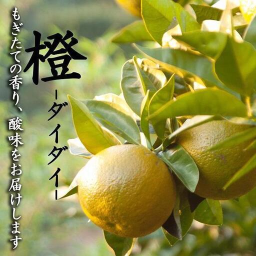 だいだい ポン酢用 だいだい 5kg箱(4.5キロ入り)和歌山県 海南市 鈴木農園直送