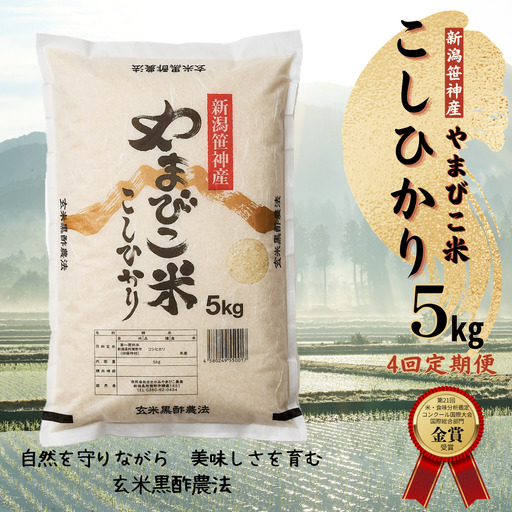 【令和8年産新米予約】【4か月定期便】コシヒカリ「やまびこ米」5kg×4回 玄米黒酢農法 金賞受賞 特別栽培米 白米 精米 農家直送 新潟県 米 こめ コメ 新米 新米予約 令和８年度産 10月中旬より順次発送 1P08055