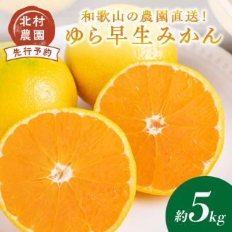 和歌山の農園直送！北村農園のゆら早生みかん5kg《先行予約》【0769-4】